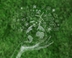 Communication digitale responsable : le guide pour calculer son impact carbone