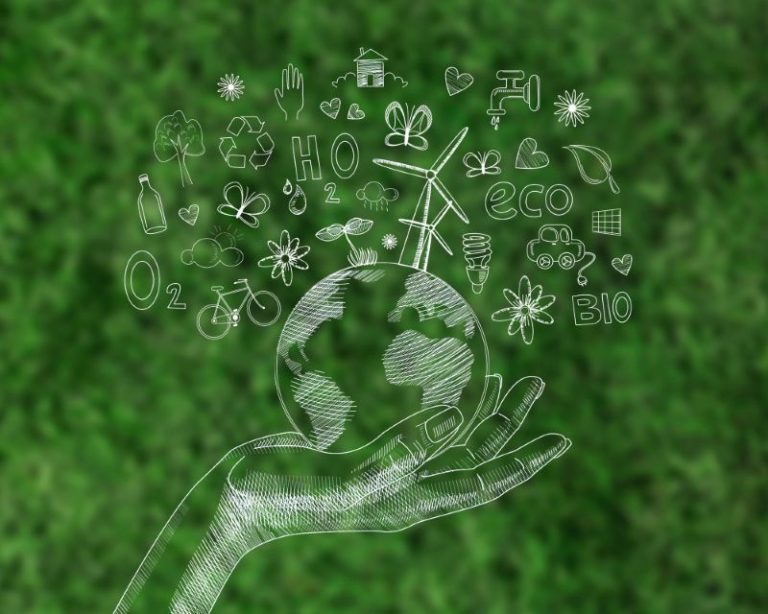 Communication digitale responsable : le guide pour calculer son impact carbone